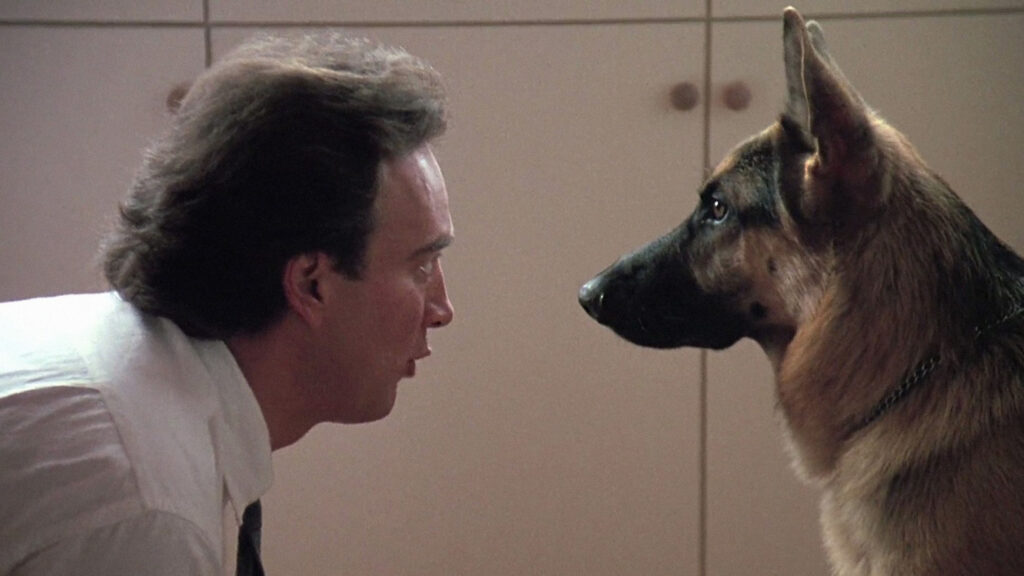 Фильм К 9: Собачья работа (1989) - лучшая комедия про копов