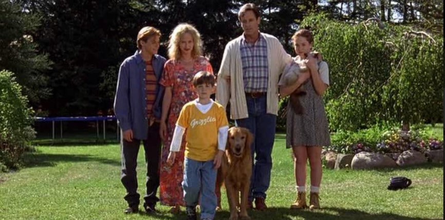 Дорога домой: Невероятное путешествие (1993) - лучший фильм про собак