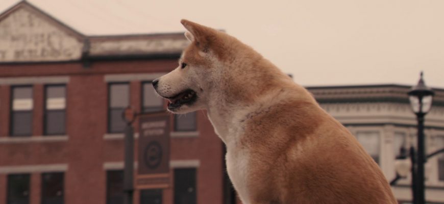 Хатико: Самый верный друг (2009) - лучший фильм про собак