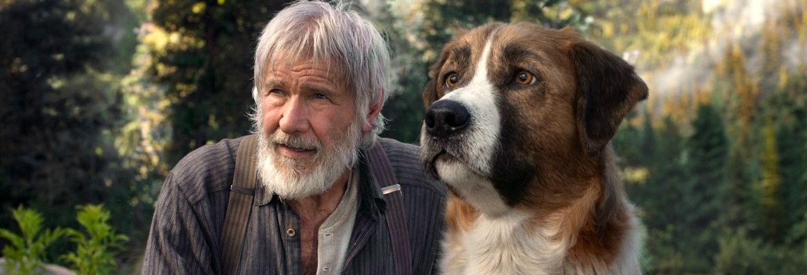Топ список лучших фильмов про собак